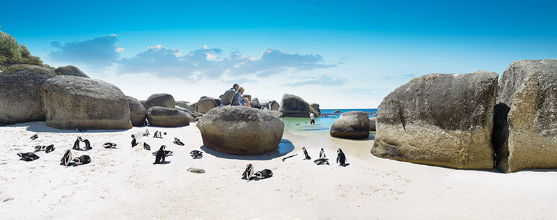 Boulders Beach