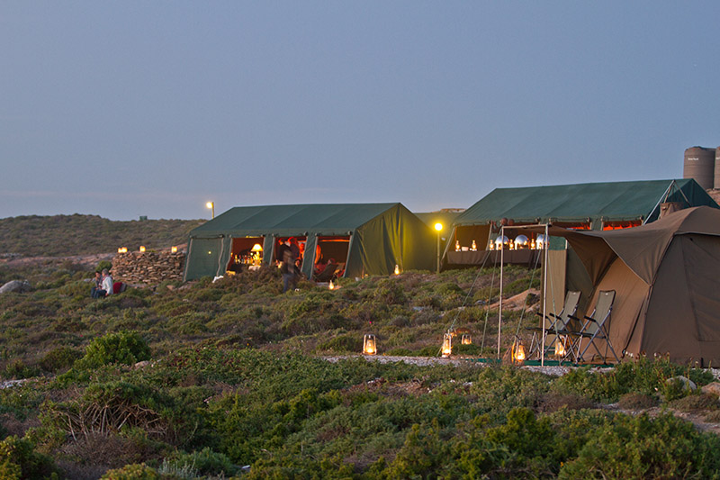 campo tendato namaqualand