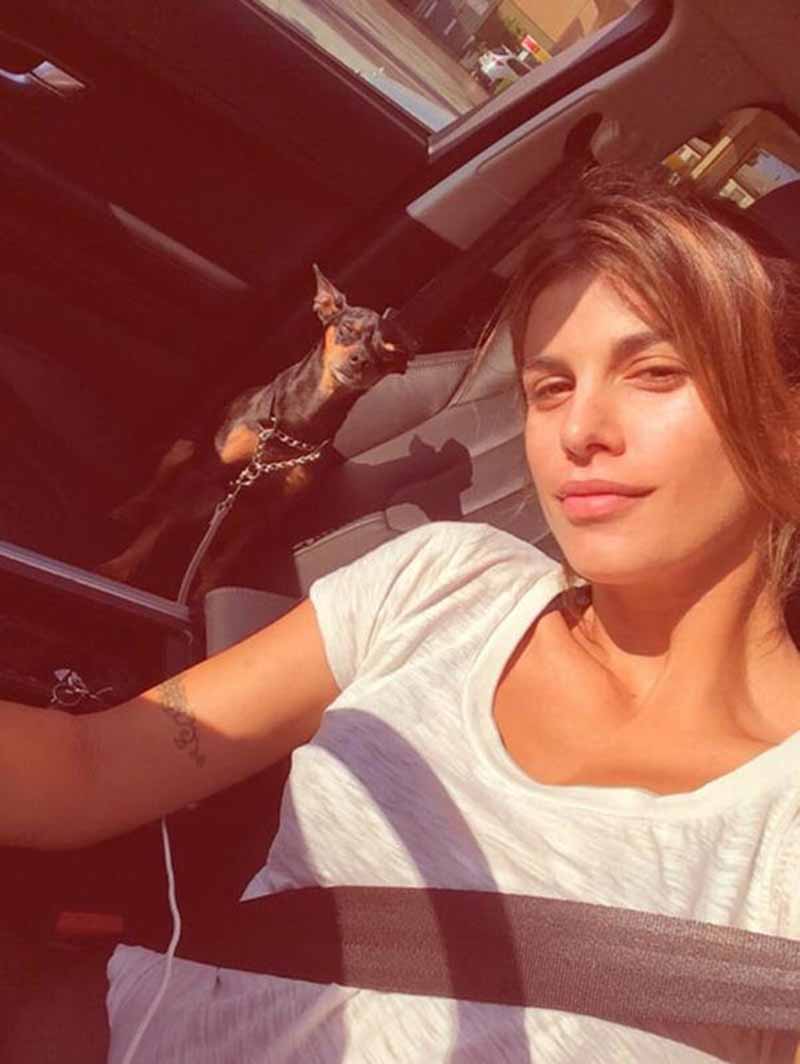 elisabetta canalis