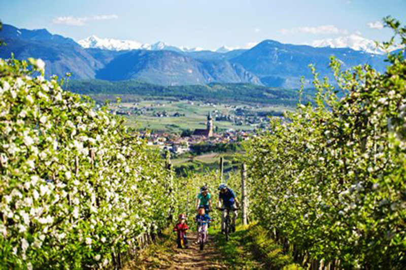 Familienhotels Alto Adige