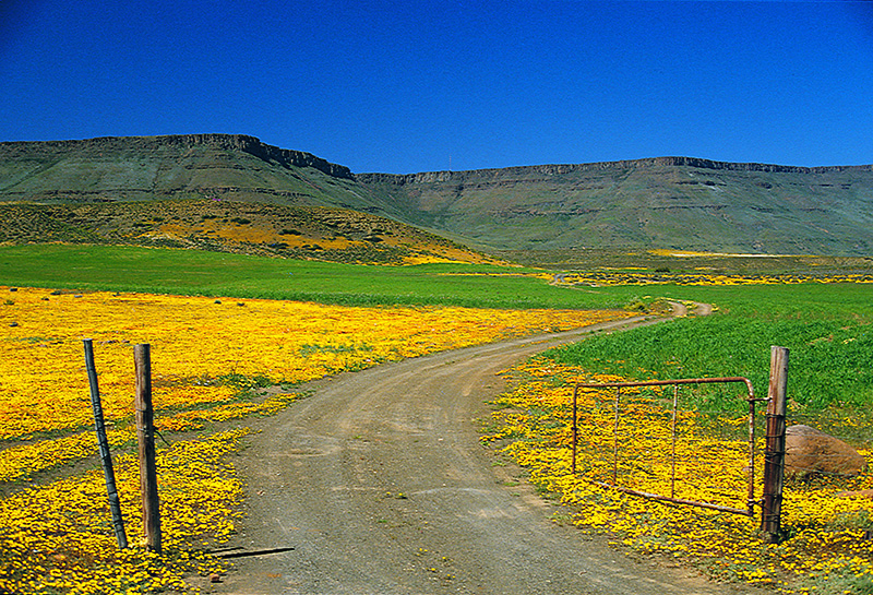 Namaqualand