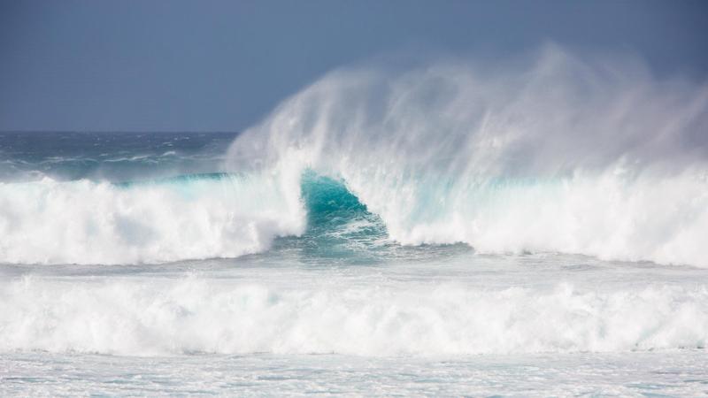 surf hawaii (7)