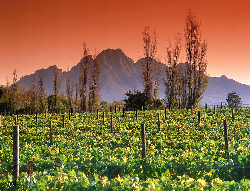 Winelands La Motte