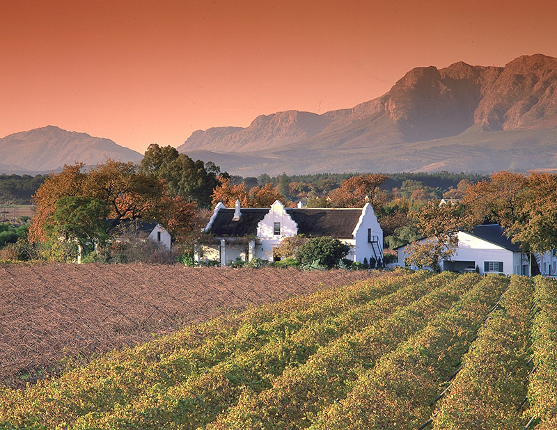 Winelands Paarl