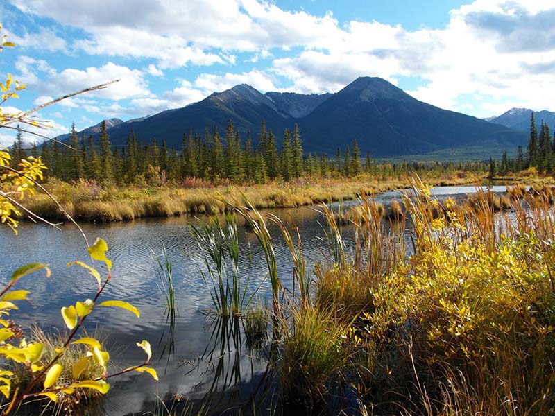 Banff, Canada (+43% d’interesse nelle prenotazioni anno su anno)