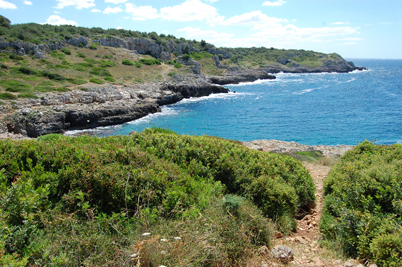 nardo portoselvaggio