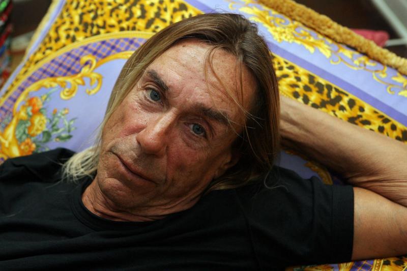 Iggy Pop ape