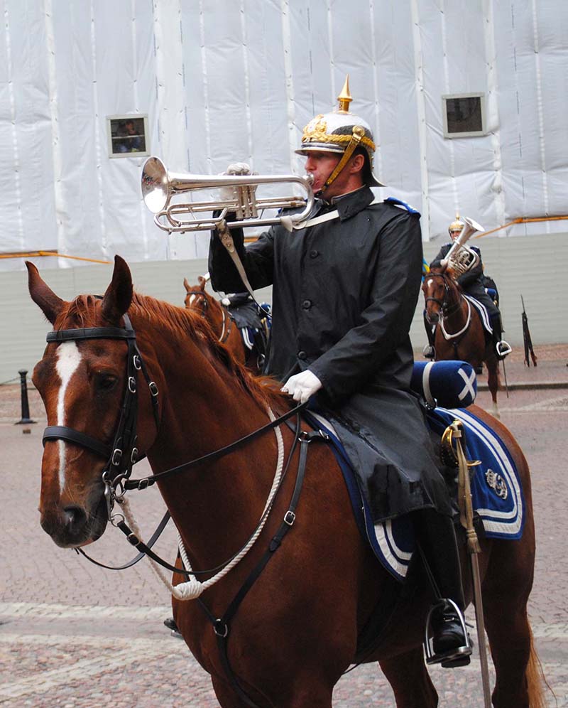 Un momento del cambio della guardia davanti al Palazzo reale Un momento del cambio della guardia davanti al Palazzo reale
