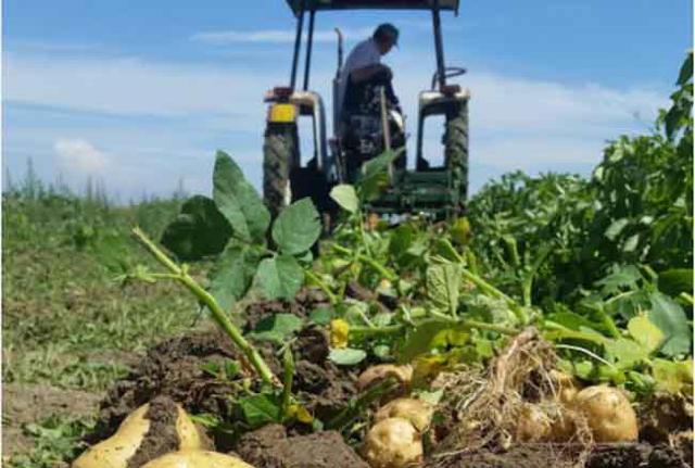 #Agricolturamodomio16 - Foto di cascinagandolfi