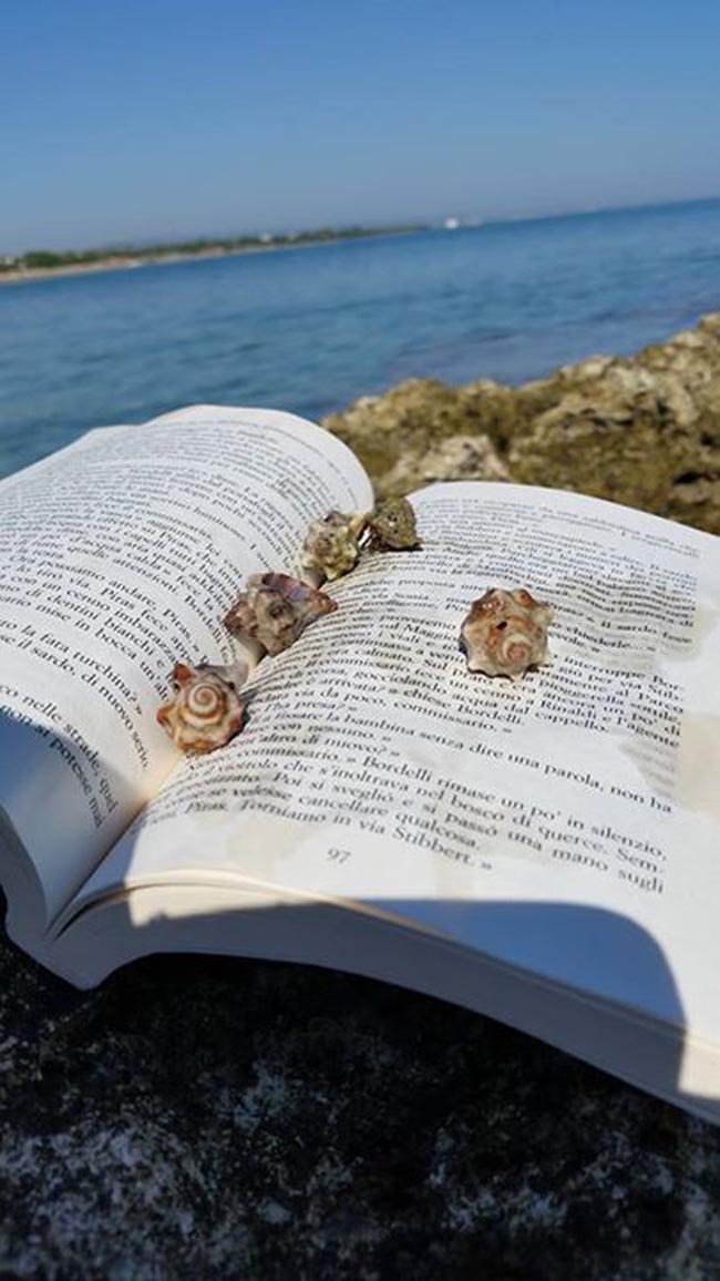 Books on the Beach (4)