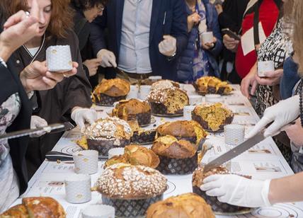 Panettone di 25 diversi tipi al Temporary Store