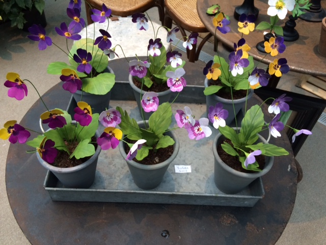 Vasi di violette