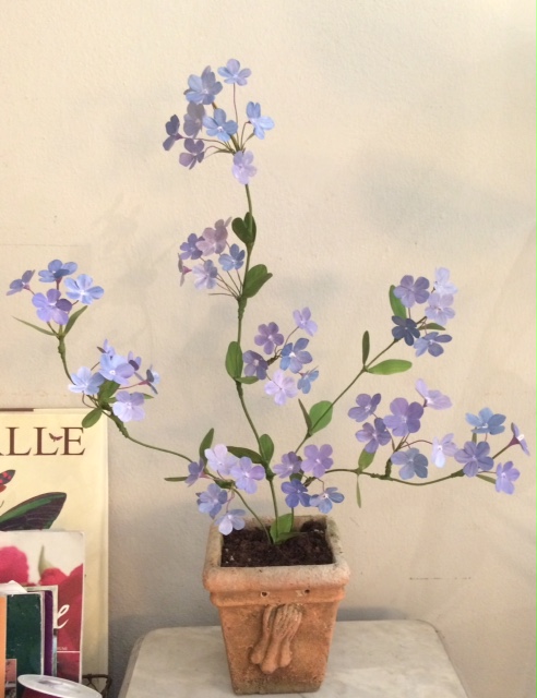 Vaso di fiori blu