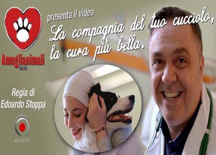 Animali domestici in ospedale, Lombardia: regolamento in due settimane