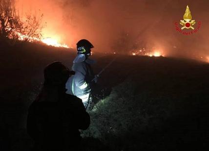 Incendi in Lombardia, la Regione chiede lo stato di emergenza nazionale