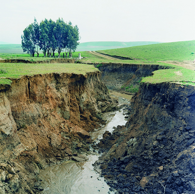 La Terra Inquieta (7)