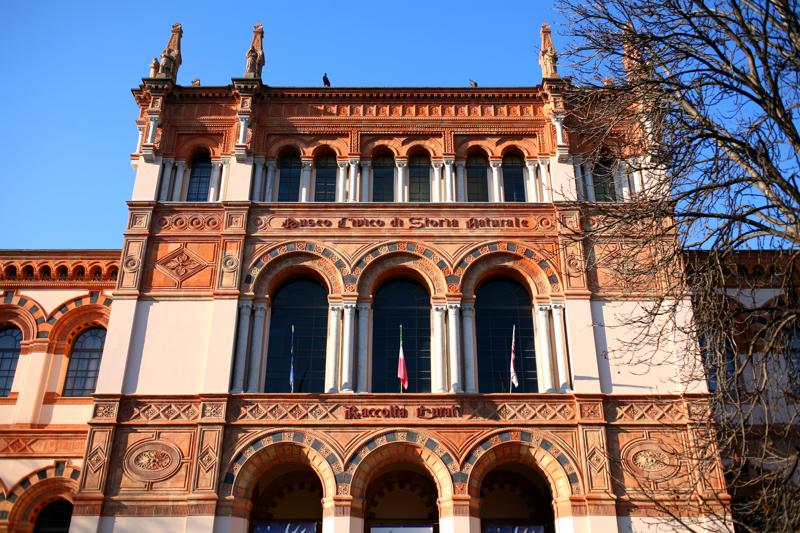 Milano, Darwin Day: Museo di Storia Naturale, 3 giorni sul tema della simbiosi