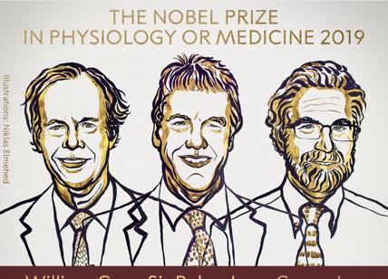 Premio Nobel per la Medicina a Kaelin, Ratcliffe e Semenza
