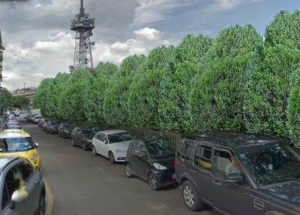 FERROVIENORD su lavori via Filarete a Milano: si proceda a sistemazione alberi