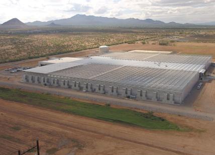 Bayer apre una "serra intelligente" in Arizona: la Marana Greenhouse