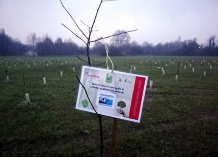 Parco Nord Milano: il primo albero del "Bosco del Design"