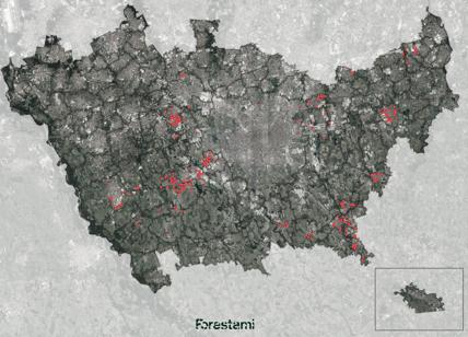 ForestaMI, procede il piano per avere 3 milioni di alberi nel Milanese