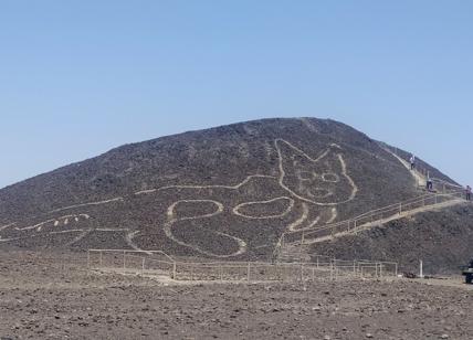 Perù, linee di Nazca: scoperto nuovo geoglifo, il disegno di un gatto a riposo