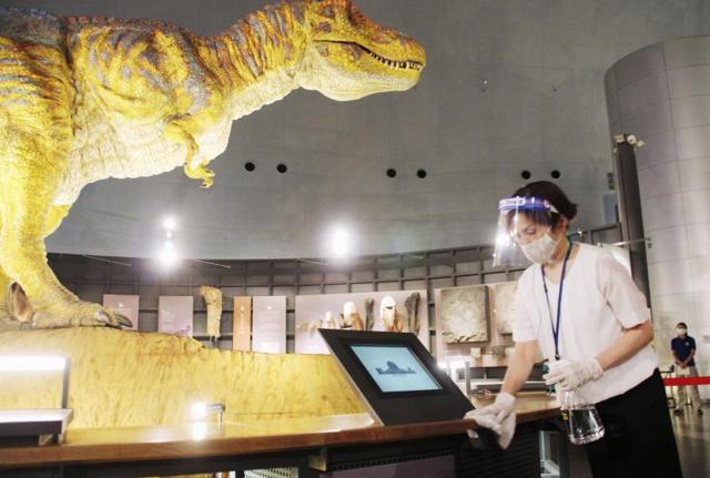 Una lavoratrice all'interno del Museo dei dinosauri della prefettura di Fukui