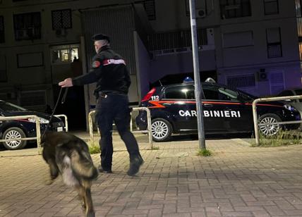 Droga: blitz tra Salerno e Varese, smantellati due gruppi criminali