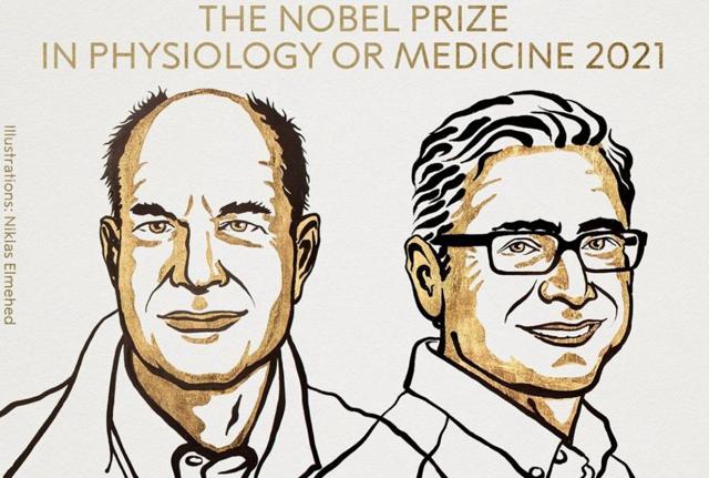 Nobel prize instagram