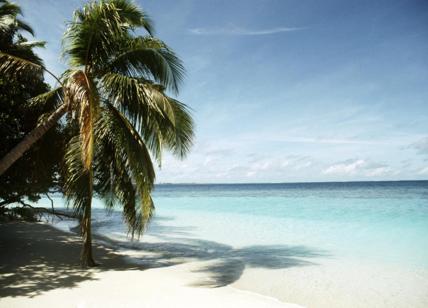 Viaggi, le 10 destinazioni da sogno del 2021: Mar Rosso, Maldive, Canarie e...