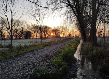 Parco Ticinello, i comitati: "Salvare la vocazione agricola"