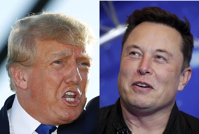 Donald Trump e Elon Musk