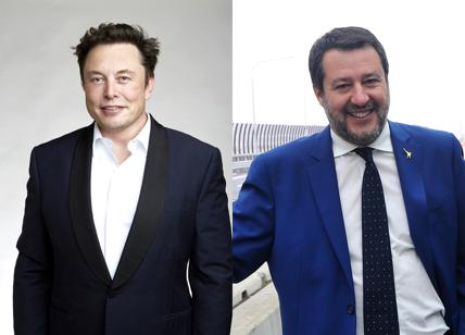 Twitter, sboccia l'amore tra Musk e Salvini: "Non vedo l'ora di incontrarti"