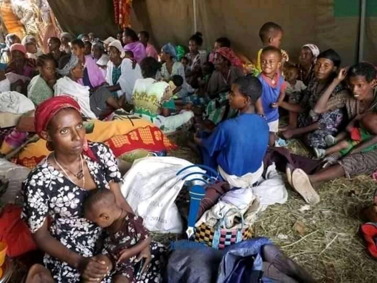 Etiopia, sfollati nella regione Amhara 