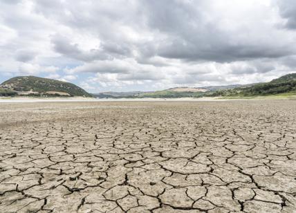 Allarme desertificazione, 1mld di ettari degradati da ripristinare entro 2030