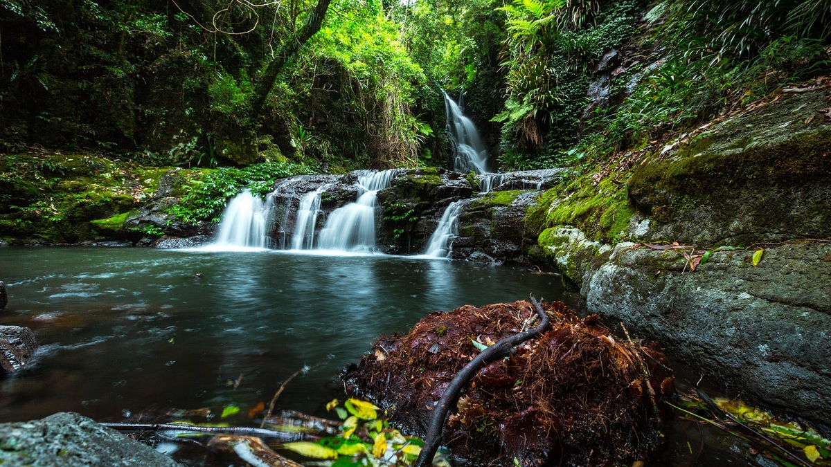 Lamington National Park