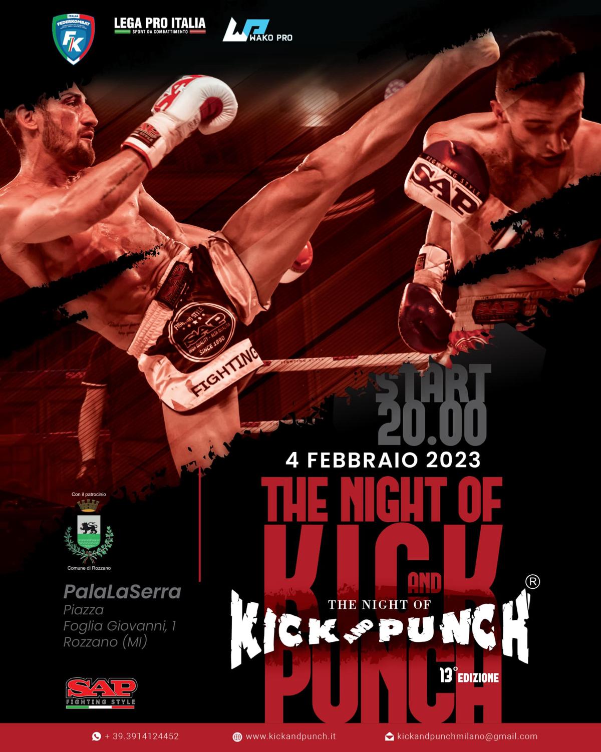 Poster The Night of Kick and Punch 13