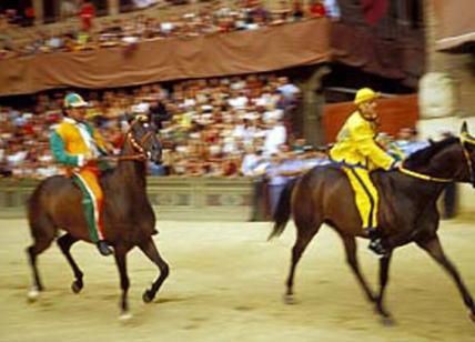 Siena, trionfa al Palio dell'Assunta 2023 l'Oca con il cavallo scosso