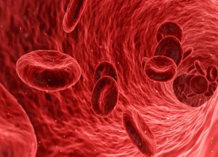 Sanità, la proteina del sangue che predice il rischio di cancro e infarto