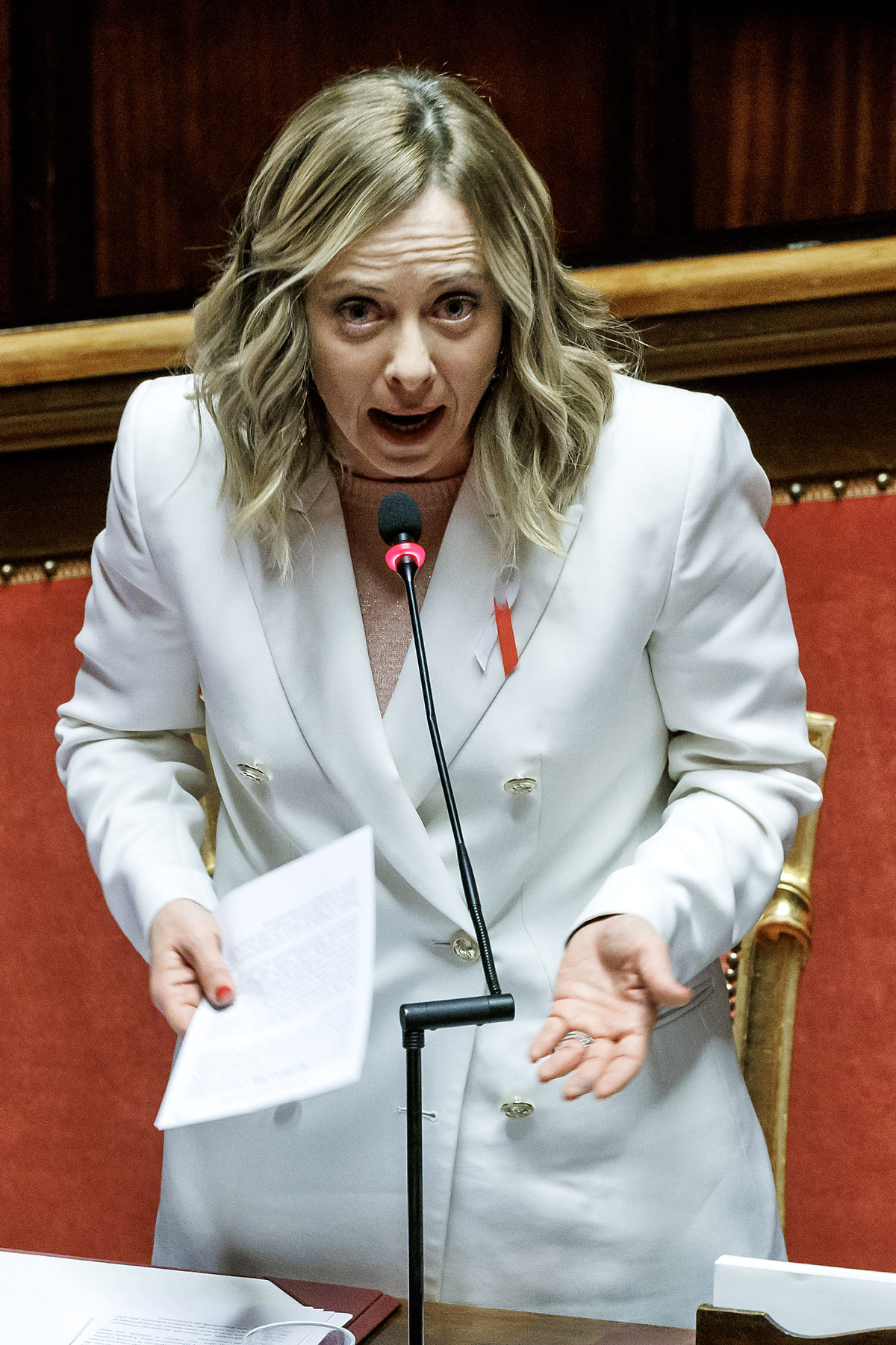 Senato - Question time con il Presidente del Consiglio Giorgia Meloni