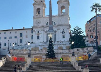 A Roma è già dicembre, a piazza di Spagna spunta un maxi albero di Natale
