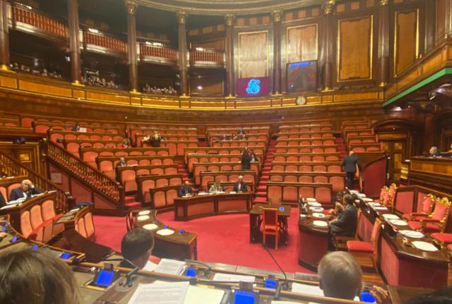 Aula Senato foto presa dal profilo Twitter di Susanna Camusso