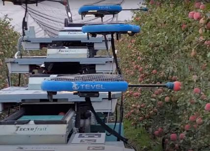 Intelligenza Artificiale e agricoltura: ora i robot raccolgono le mele-VIDEO