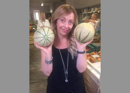 Meloni, stagione schizofrenica: da 60 cent a 3,5 euro al kg in pochi mesi