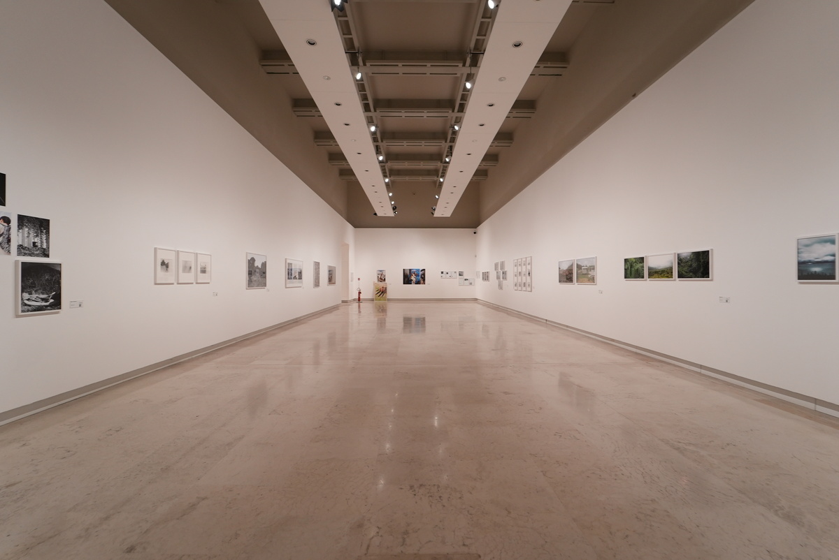 Installation View PalaExpo