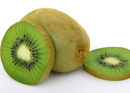 Kiwi, è il settimo frutto più popolare al mondo