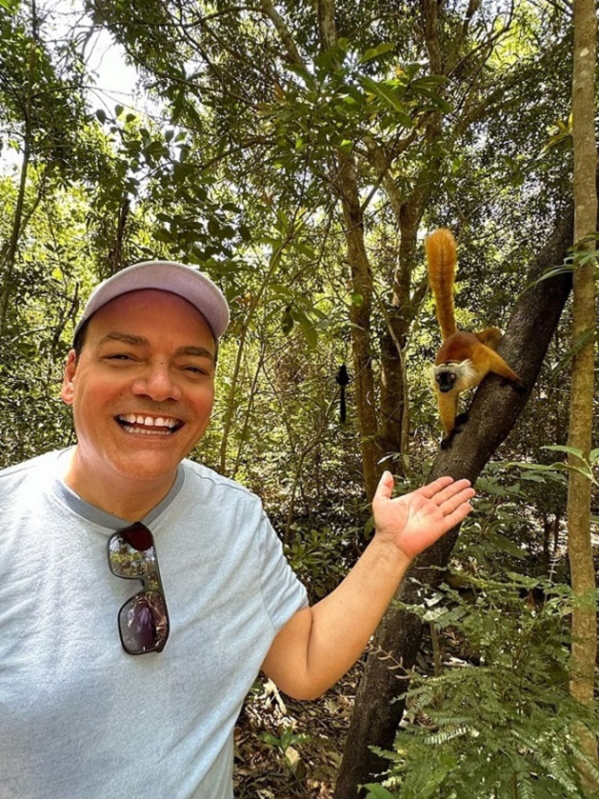 La riserva integrale di Lokobe, nei suoi 740 ettari, ospita decine di specie di lemuri