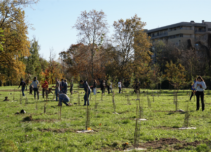 Mediobanca e Mission Bambini uniti per l'ambiente: 500 nuovi alberi a Rozzano