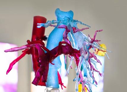 Tailor-made Organs, installazione per il futuro della medicina personalizzata